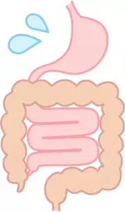 胃腸の画像